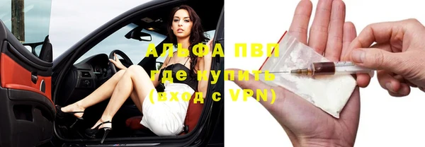 спайс Богданович