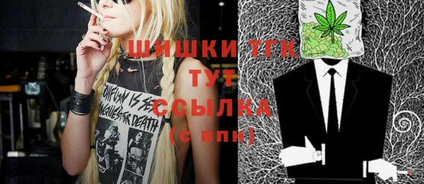 спайс Богданович