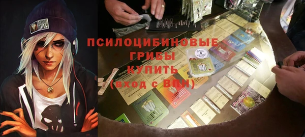 тгк Бронницы