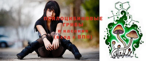 тгк Бронницы